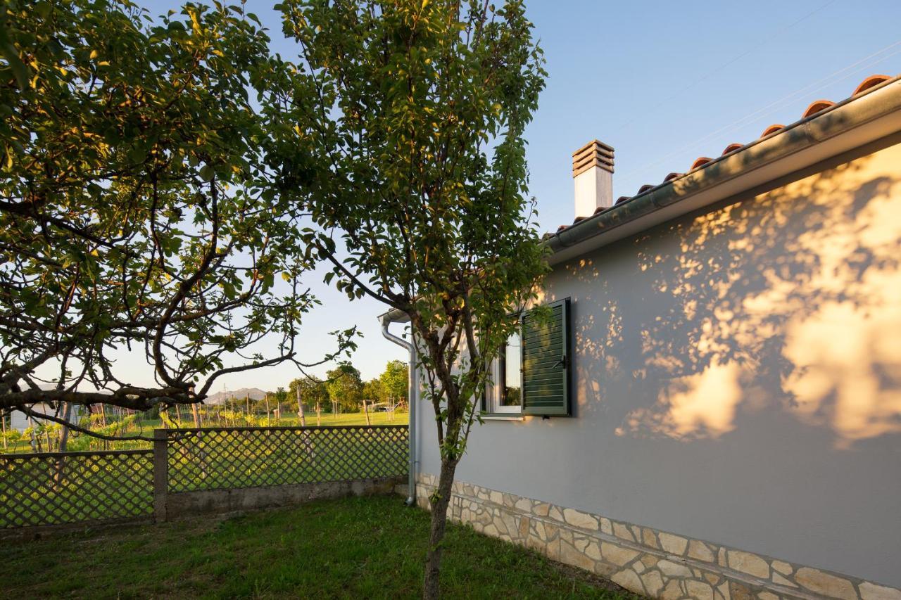 Villa Amaryllis Labin  Exterior photo